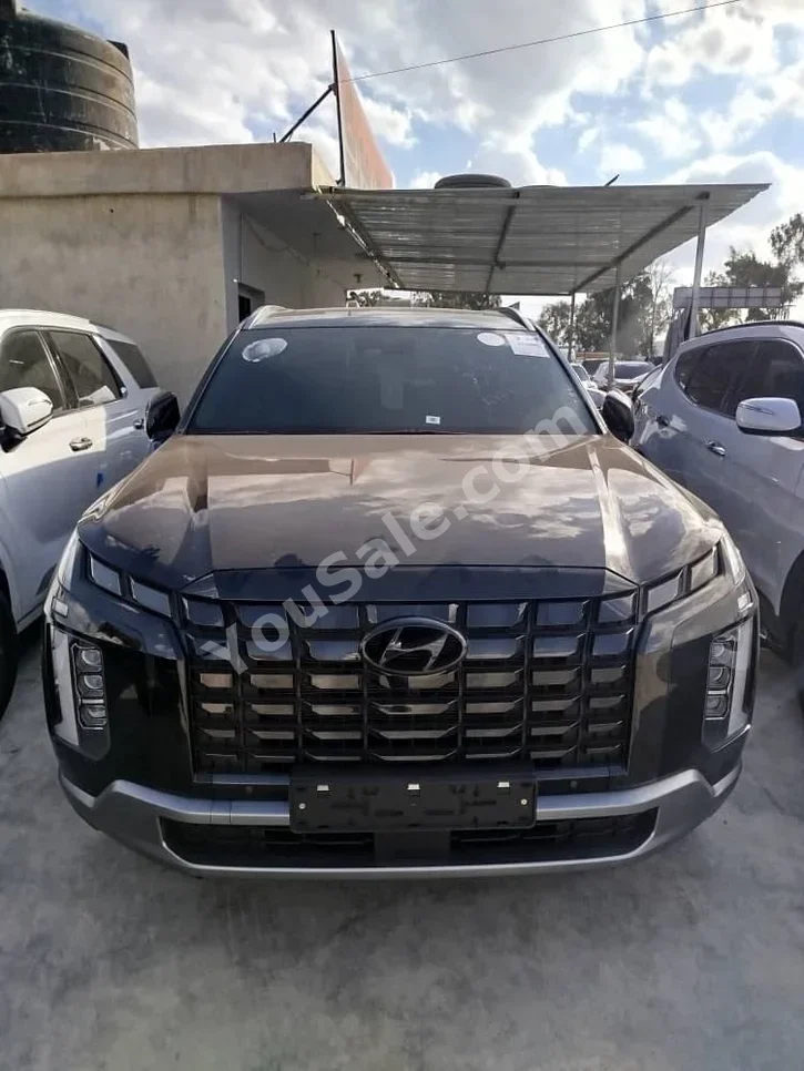 هيونداي  باليسيد  2024  اتوماتيك  20,000 كم  6 سلندر  دفع رباعي  اس يو في  أسود  بنزين