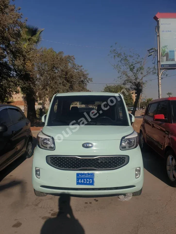 Kia  Ray  2012  Automatic  60,000 km  4 Cylinder  FWD  Hatchback  Light Green  Gasoline