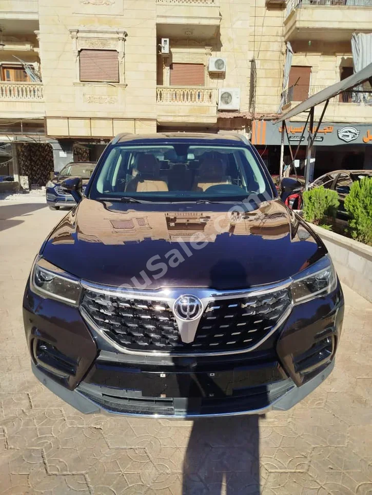 Brilliance  V7  2025  Automatic  0 km  4 Cylinder  FWD  SUV  Black  Gasoline