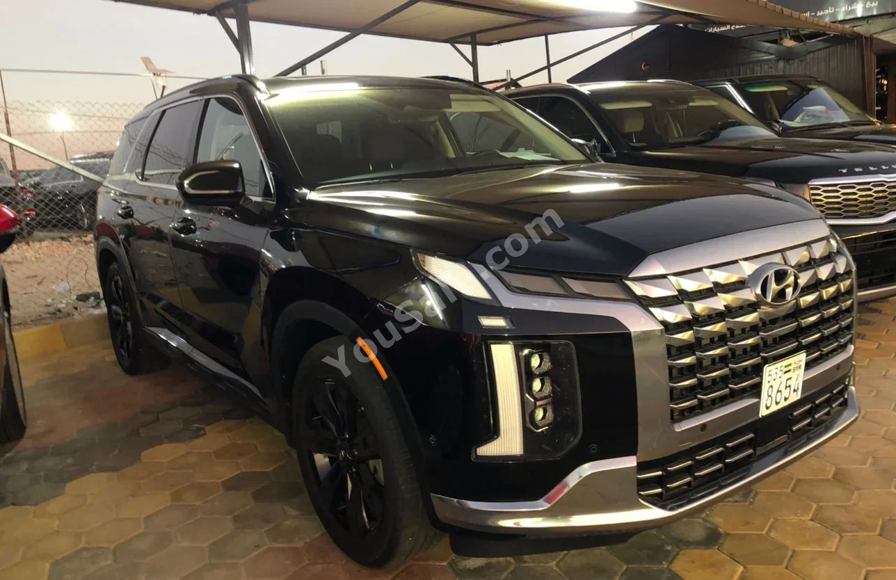 Hyundai Palisade 2024 Automatic 20,000 km 6 Cylinder AWD SUV Dark Blue Gasoline