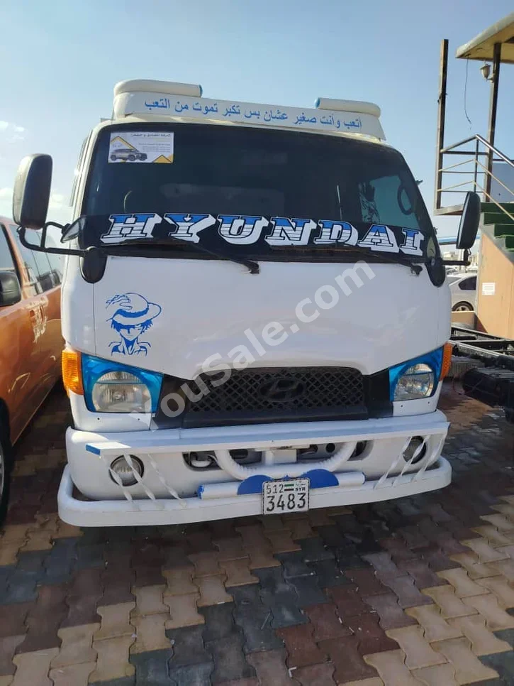 Hyundai Pickup 2006 Manual 300,000 km 4 Cylinder RWD Pick Up White Diesel