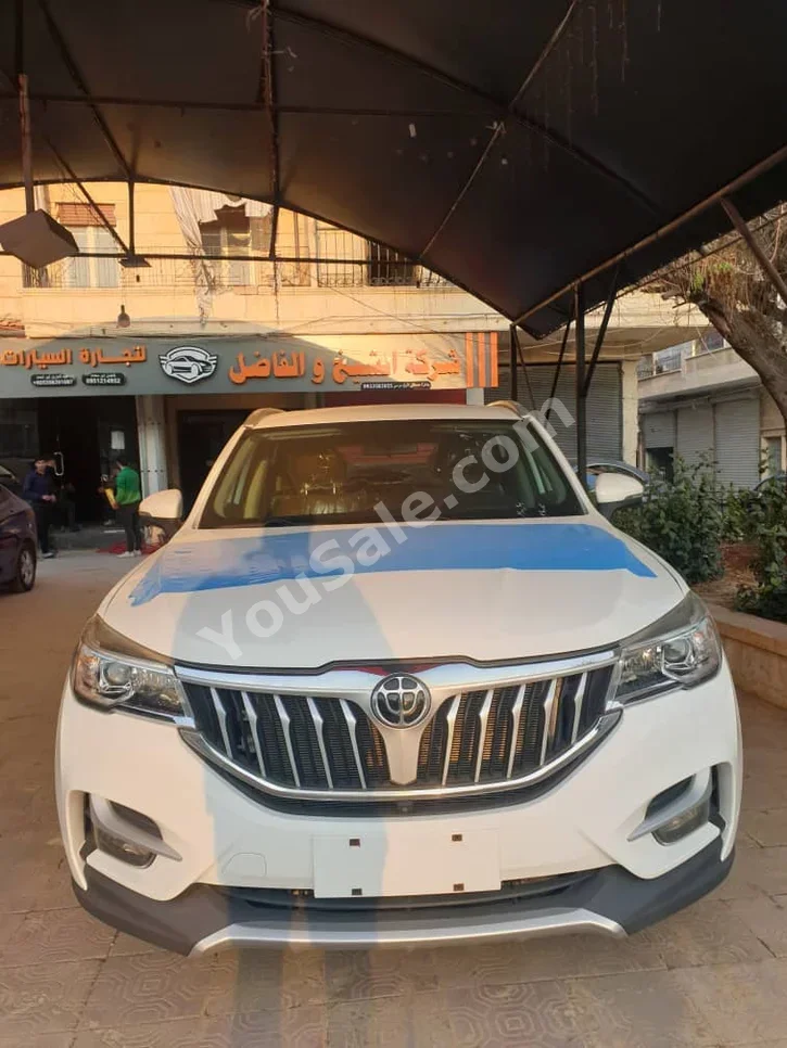 Brilliance  V6  2025  Automatic  0 km  4 Cylinder  FWD  SUV  White  Gasoline