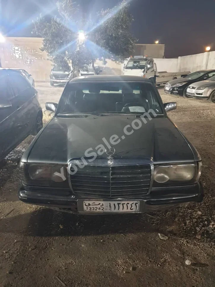 Mercedes-Benz E-Class 230 1980 Automatic 278,000 km 4 Cylinder RWD Sedan Gray Gasoline