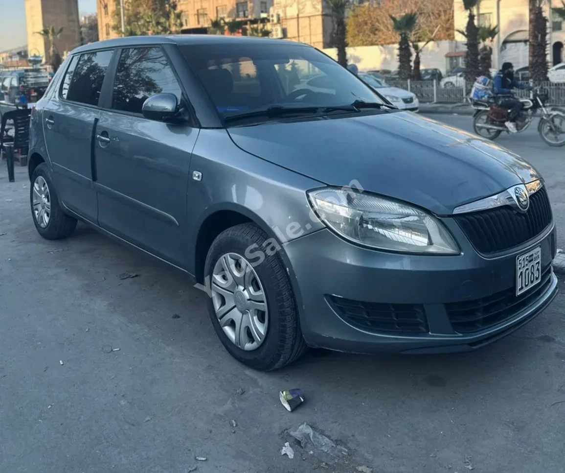 Skoda Fabia 2013 Automatic 140,000 km 4 Cylinder FWD Hatchback Gray Gasoline