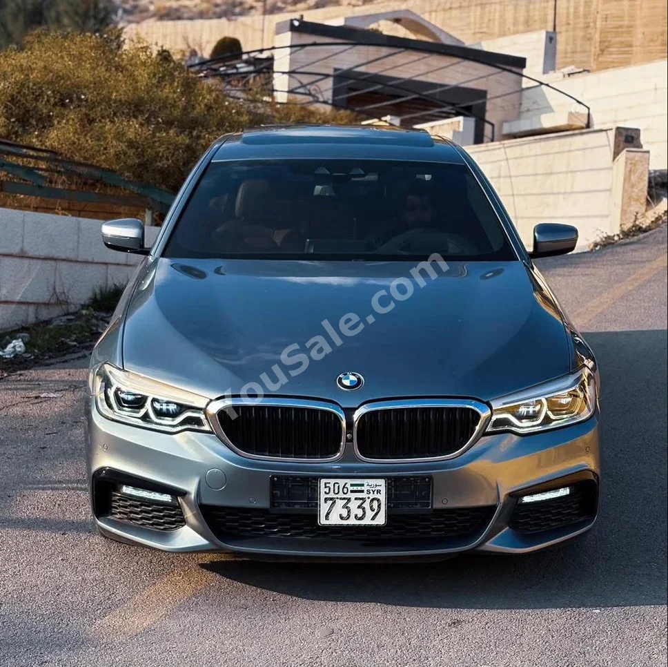 BMW 5-Series 530i 2019 Automatic 126,000 km 6 Cylinder RWD Sedan Gray Gasoline