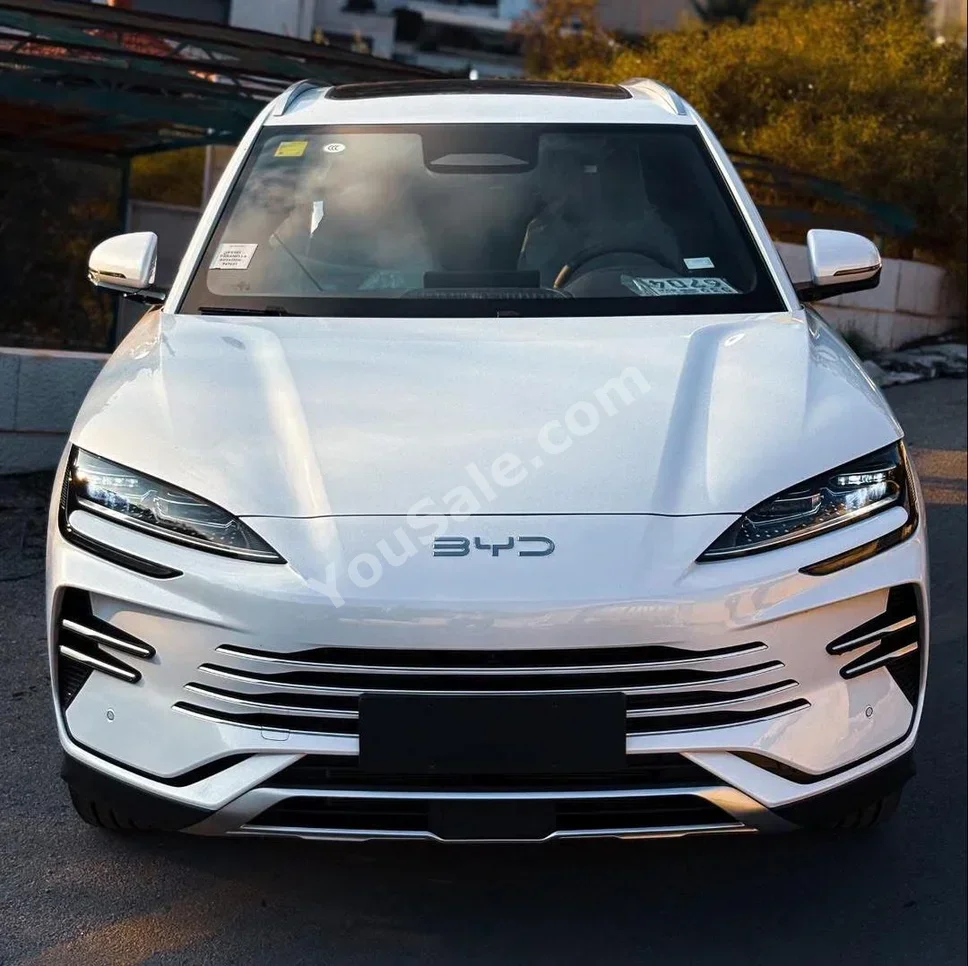 BYD Seagull 2025 Automatic 0 km 4 Cylinder AWD SUV White Hybrid