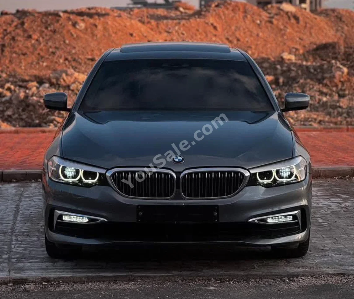 BMW 5-Series 520i 2019 Automatic 23,000 km 6 Cylinder RWD Sedan Gray Gasoline