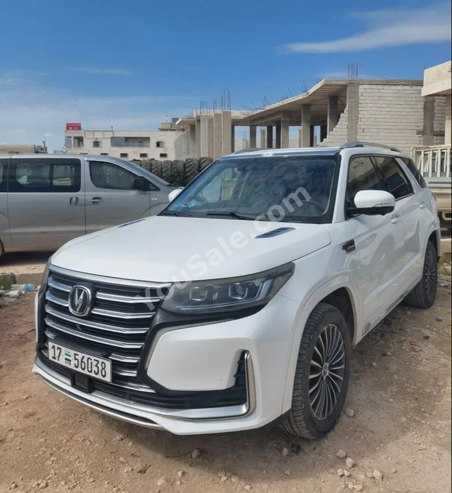 Changan  cs95  Clasic  2020  Automatic  22,000 km  4 Cylinder  4WD  SUV  White  Gasoline