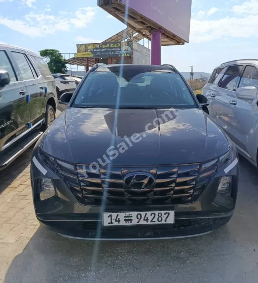 Hyundai  Tucson  2021  Automatic  116,000 km  4 Cylinder  RWD  SUV  Black  Diesel