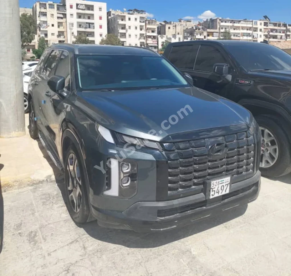 Hyundai  Palisade  2024  Automatic  3,500 km  4 Cylinder  4WD  SUV  Dark Gray  Gasoline