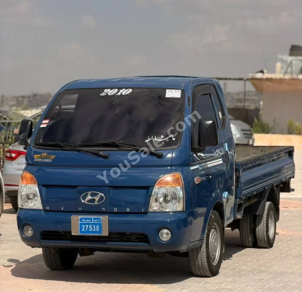 Hyundai Porter Porter 2009 Manual 335,000 km 4 Cylinder RWD Pick Up Blue Diesel