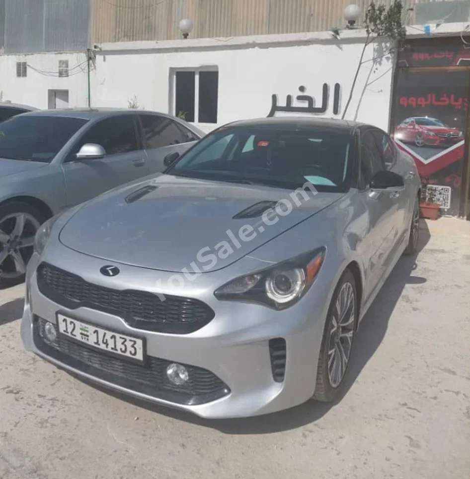 Kia STINGER 2019 Automatic 198,000 km 4 Cylinder FWD Sedan Silver Gasoline