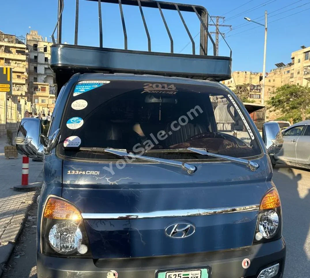 Hyundai Porter Porter 2014 Manual 187,000 km 4 Cylinder RWD Pick Up Blue Diesel