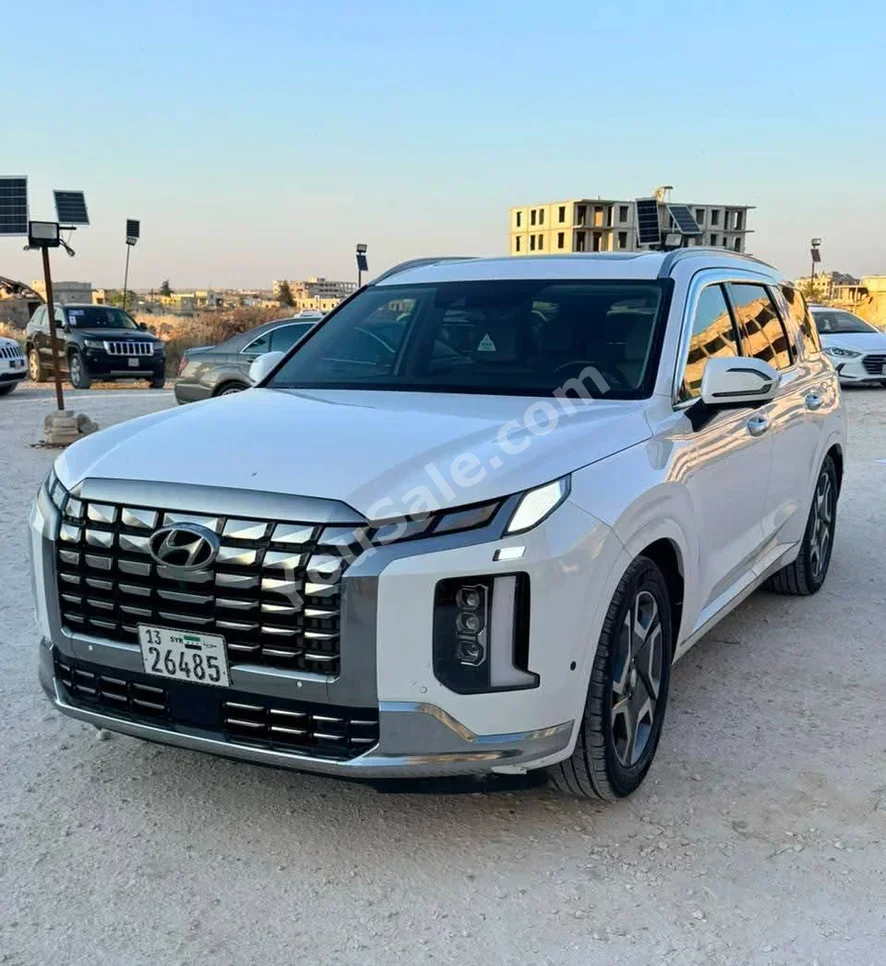 Hyundai Palisade 2024 Automatic 89,000 km 6 Cylinder 4WD SUV White Gasoline