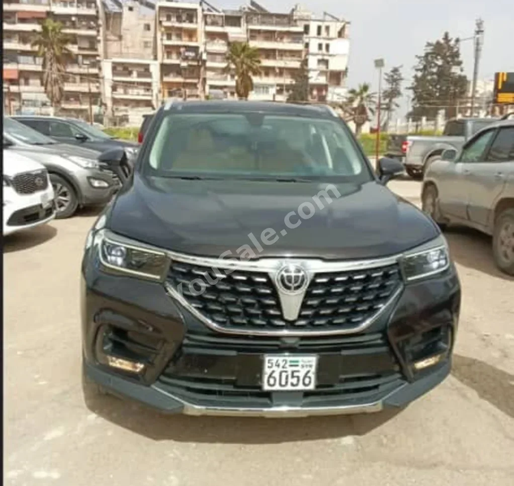 Brilliance V7 2025 Automatic 1,000 km 4 Cylinder FWD SUV Black Gasoline