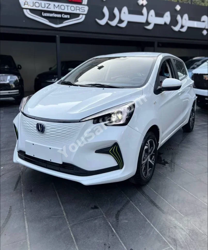 شانجان  إيدو  سمارت  2024  اتوماتيك  0 كم  0 سلندر  دفع أمامي  هاتشباك  أبيض  كهربائية